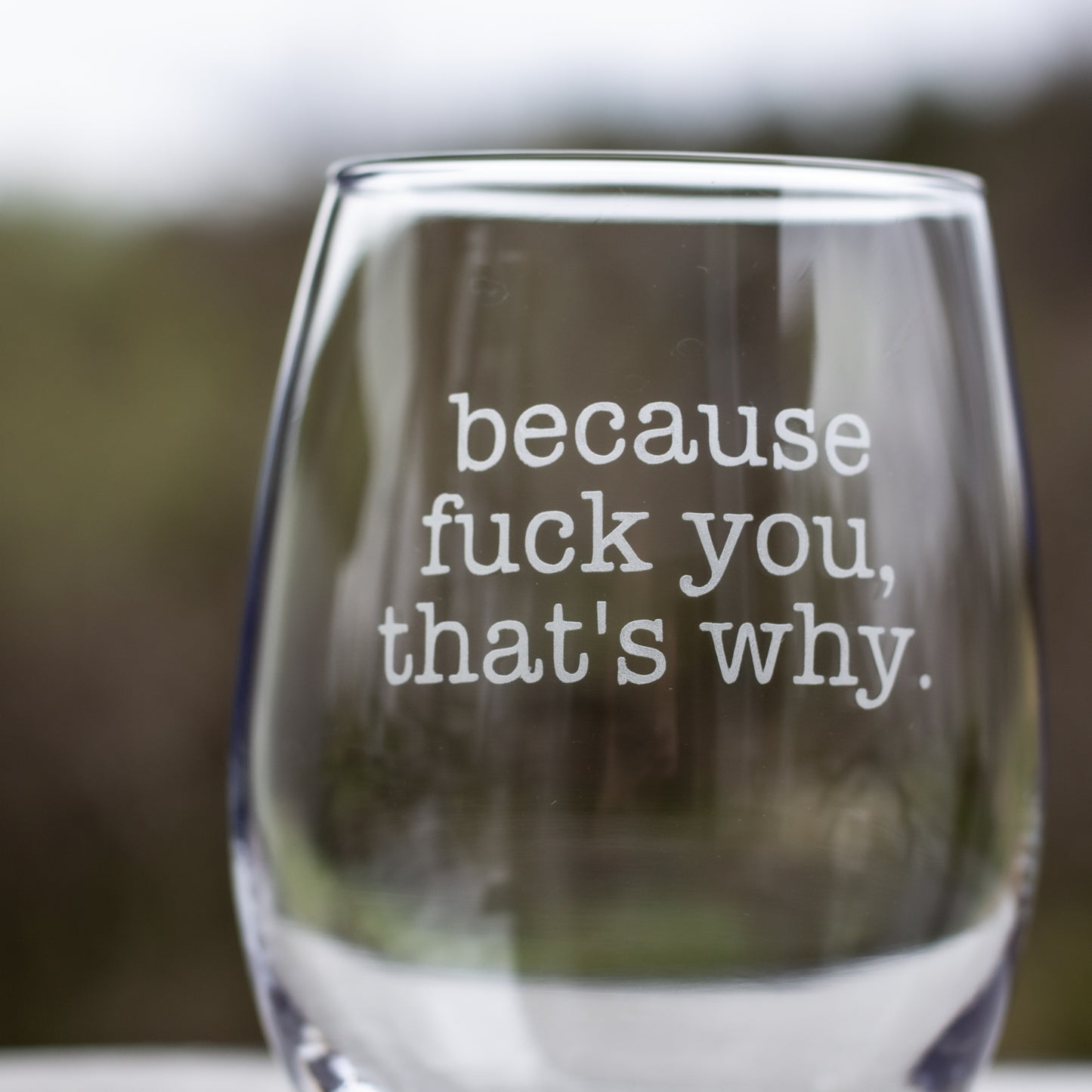 Because F*ck you, That's Why Etched Glass