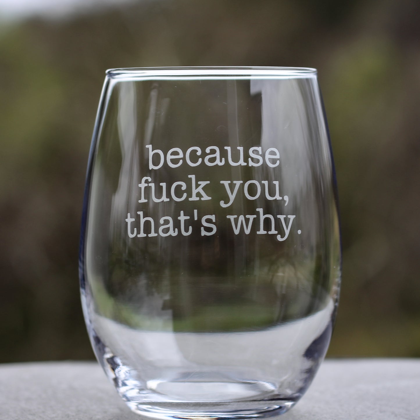 Because F*ck you, That's Why Etched Glass