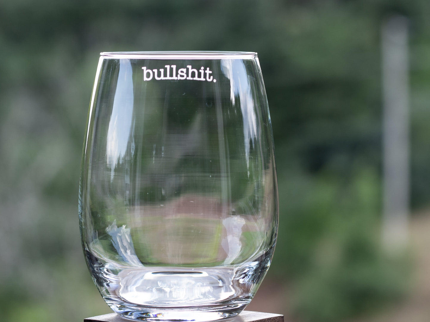 Bullsh*t Etched Glass