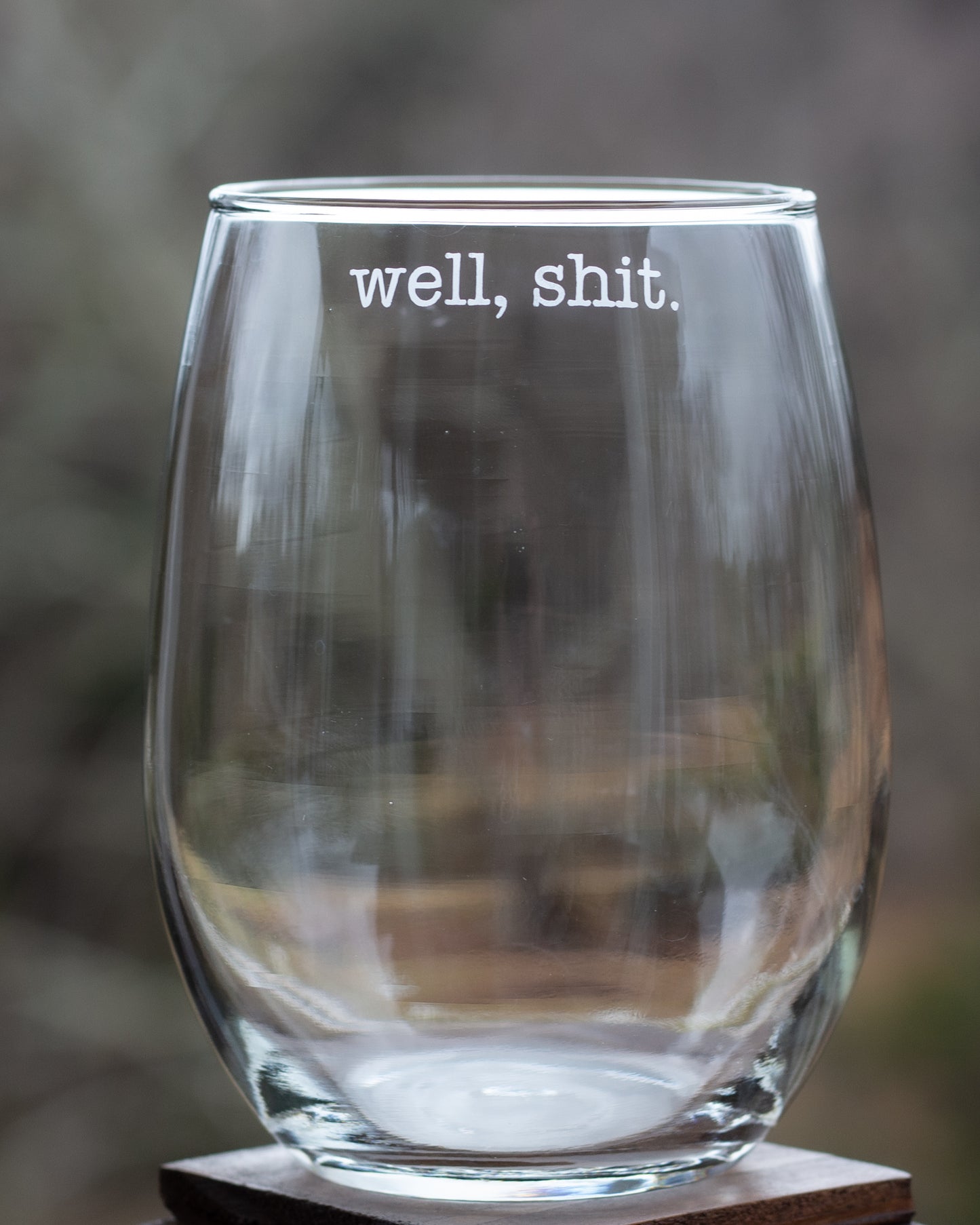 Well, Sh*t Etched Glass